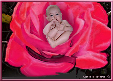 bébé/rose